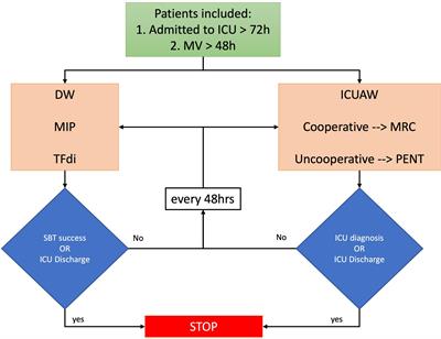 Occurrence and Effects on <mark class="highlighted">Weaning From Mechanical Ventilation</mark> of Intensive Care Unit Acquired and Diaphragm Weakness: A Pilot Study
